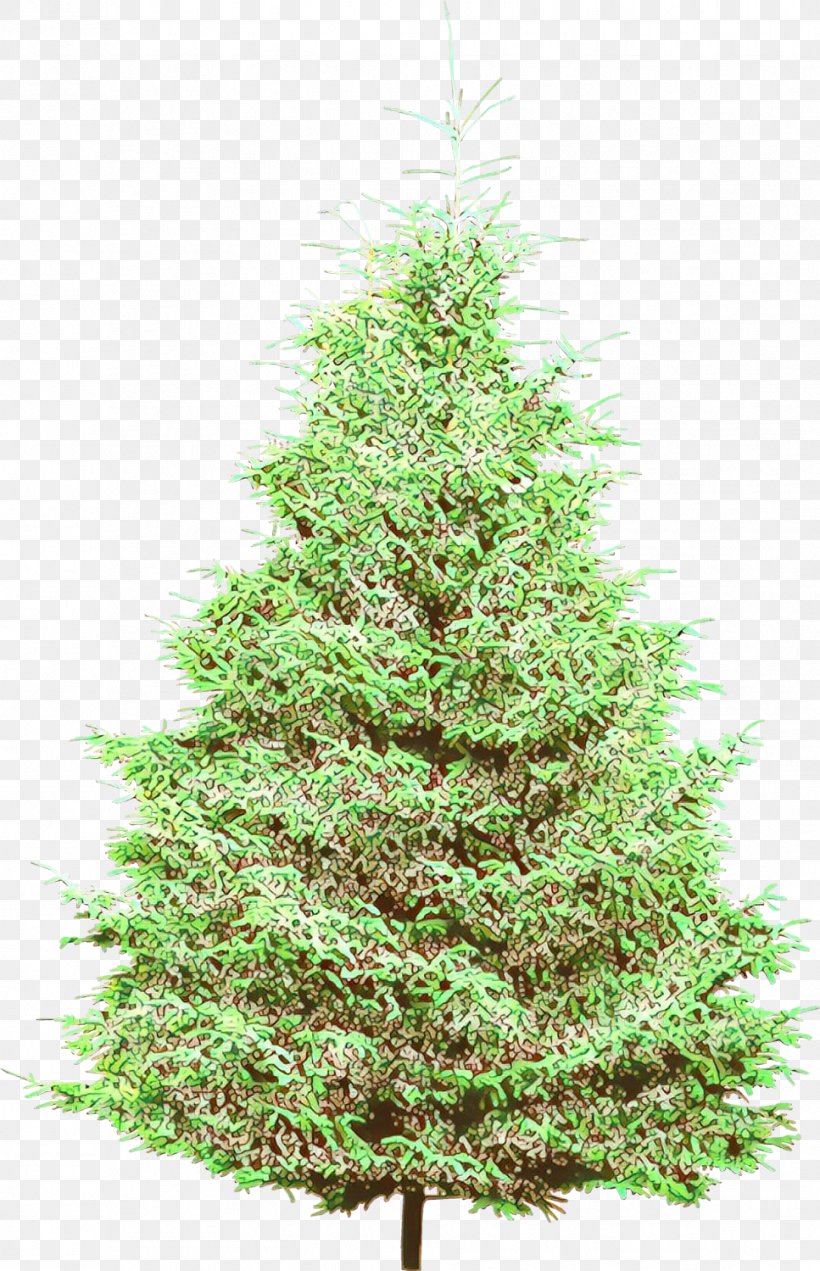 Christmas Tree, PNG, 967x1499px, Christmas Tree, Arizona Cypress, Balsam Fir, Canadian Fir, Colorado Spruce Download Free