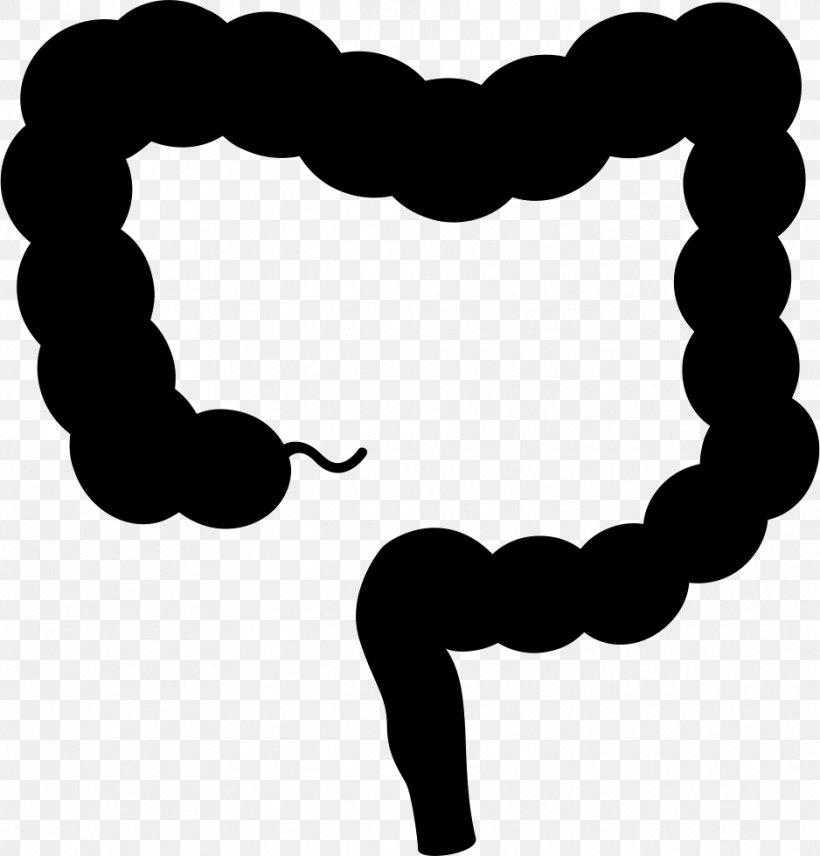 Intestine Clip Art, PNG, 938x980px, Intestine, Black And White, Cdr, Computer Font, Coreldraw Download Free