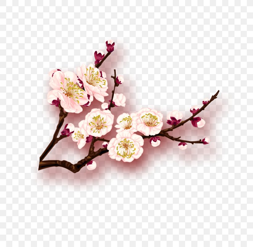 Lunar New Year Sales Promotion, PNG, 800x800px, New Year, Ameixeira, Artificial Flower, Blossom, Branch Download Free