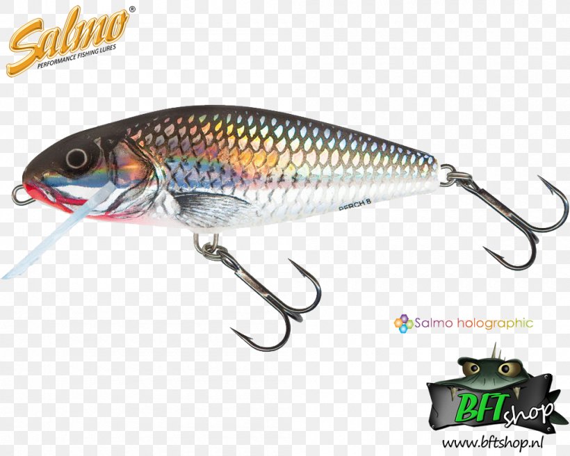 Plug Fishing Baits & Lures Northern Pike Angling, PNG, 1000x800px, Plug, Angling, Bait, Bass Worms, European Perch Download Free