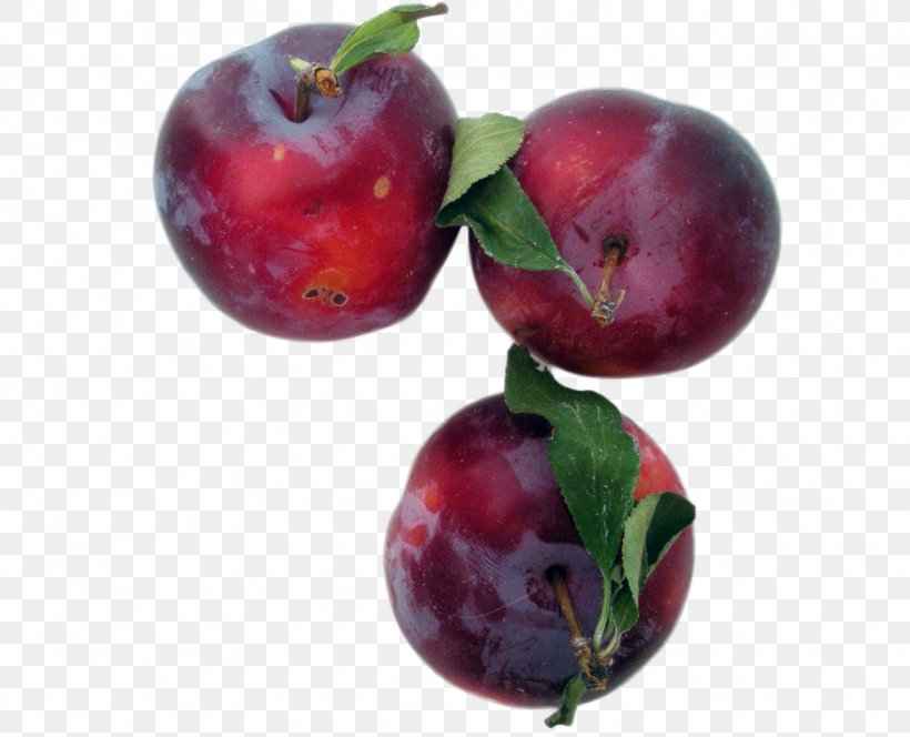 Prunus Sect. Prunus Cherries Fruit Jam Sour Cherry, PNG, 1548x1254px, Prunus Sect Prunus, Accessory Fruit, Acerola, Acerola Family, Apple Download Free