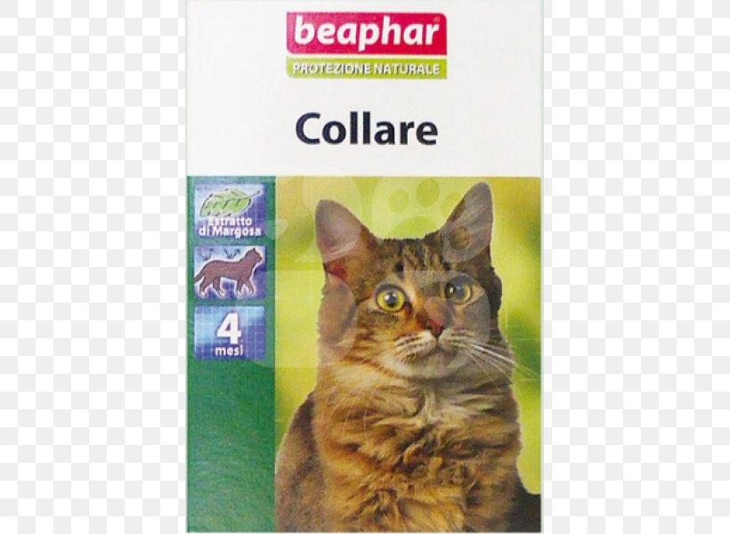 Whiskers Tabby Cat Collar Dog, PNG, 600x600px, Whiskers, Animal, Antiparasitic, Cat, Cat Like Mammal Download Free