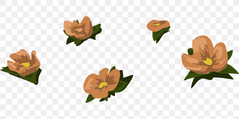 Orange Flower Color, PNG, 1280x640px, Orange, Brown, Color, Flower, Flowering Plant Download Free