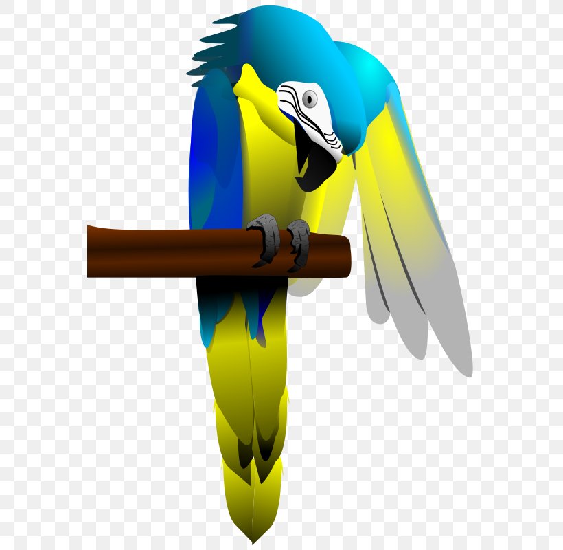 Parrot Bird Blue-and-yellow Macaw Clip Art, PNG, 566x800px, Parrot, Animal, Beak, Bird, Blueandyellow Macaw Download Free