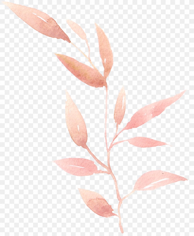 Watercolor Painting Leaf, PNG, 2010x2443px, Watercolor Painting, Branch, Flower, Leaf, Paint Download Free