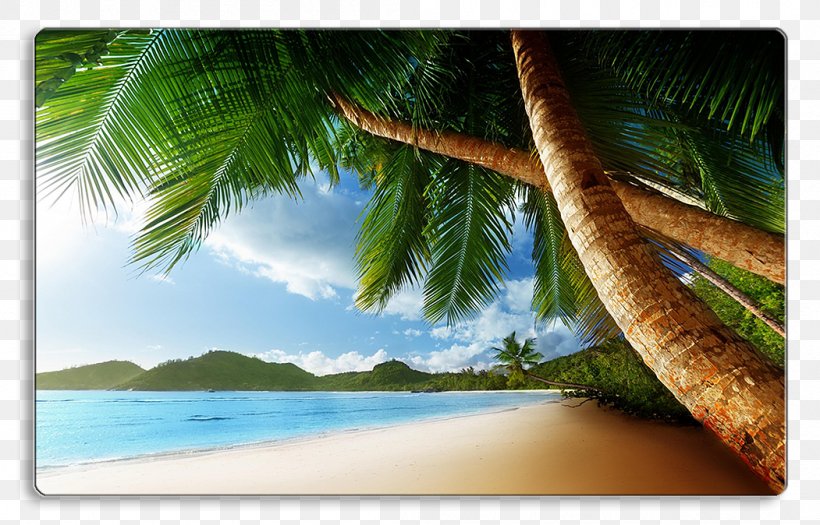 Beach Arecaceae Shore Desktop Wallpaper Tropics, PNG, 1051x674px, Beach, Arecaceae, Arecales, Caribbean, Coconut Download Free