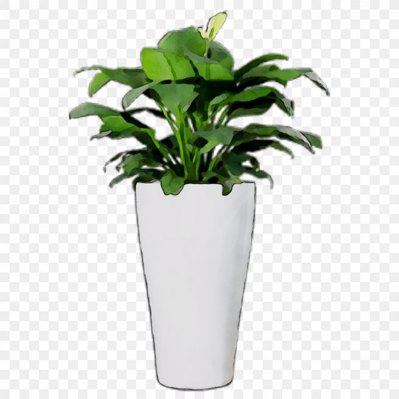Flowerpot Leaf Houseplant Tree, PNG, 1044x1044px, Flowerpot, Alismatales, Anthurium, Arum Family, Flower Download Free