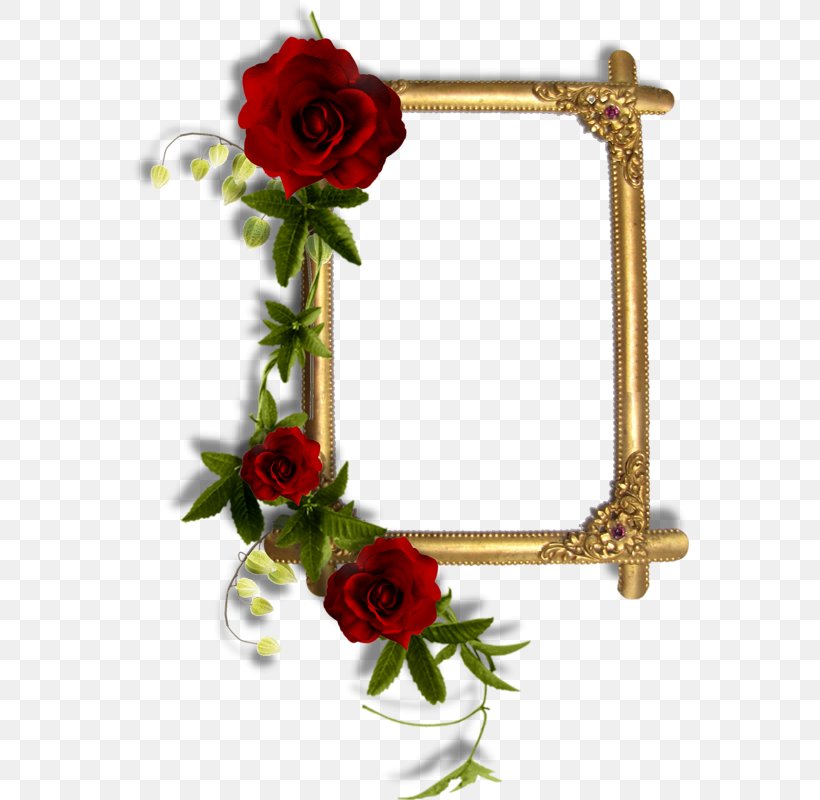 Picture Frames Paper Molding, PNG, 558x800px, Picture Frames, Artificial Flower, Book, Cut Flowers, Decorative Arts Download Free