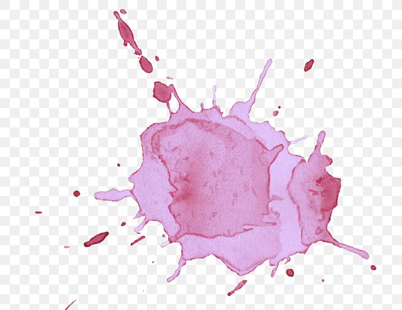 Pink Magenta Plant Animation Liquid, PNG, 808x632px, Pink, Animation, Drawing, Flower, Liquid Download Free