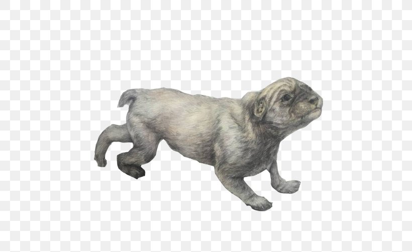 Pug Dog Breed Puppy Non-Sporting Group Drawing, PNG, 502x502px, Pug, Breed Group Dog, Carnivoran, Cartoon, Designer Download Free