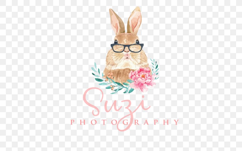 Rabbit Easter Bunny Photographer Wedding Photography, PNG, 512x512px, Rabbit, Curator, Easter, Easter Bunny, Investment Download Free