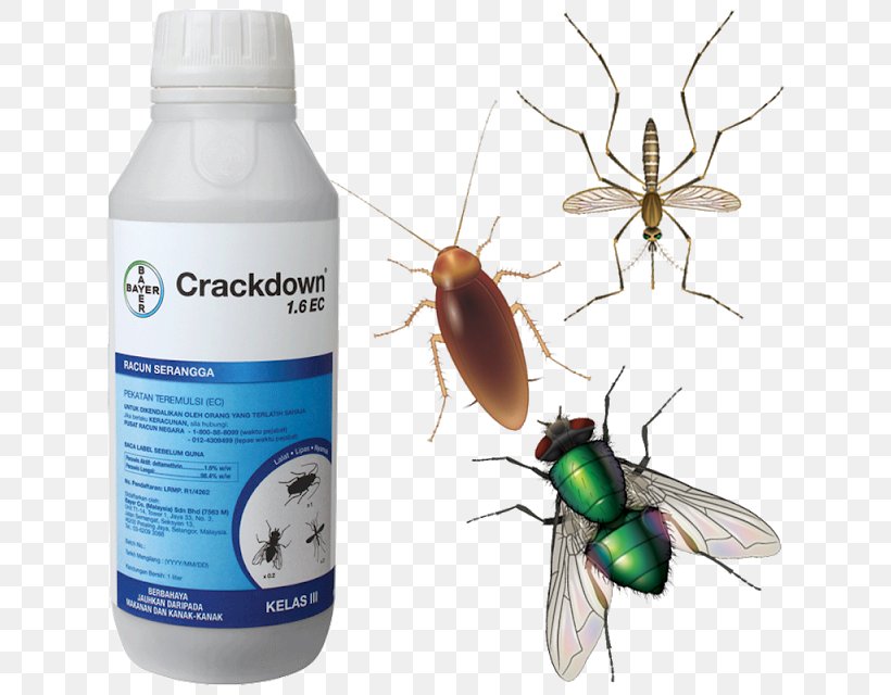 Crackdown Insecticide Pest Mosquito, PNG, 640x640px, Crackdown, Arthropod, Cockroach, Deltamethrin, Flea Download Free