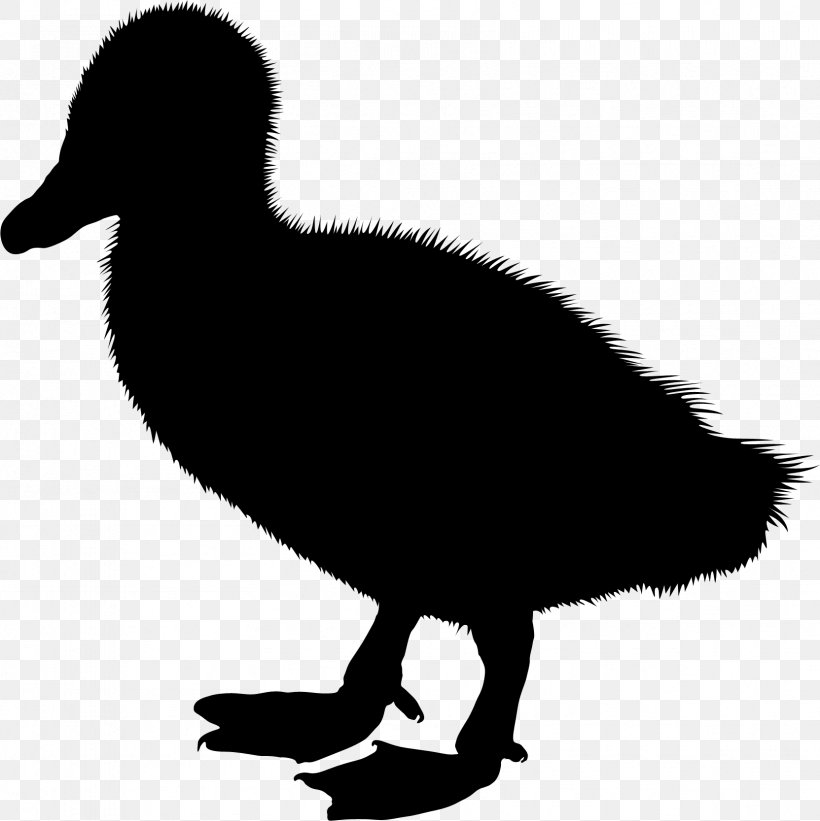Duck Clip Art Silhouette Illustration Vector Graphics, PNG, 1663x1667px, Duck, American Black Duck, Beak, Bird, Drawing Download Free