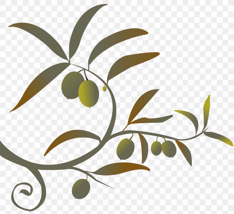 Olive Branch Clip Art, PNG, 3306x3030px, Olive Branch, Branch, Doves As Symbols, Drawing, Flora Download Free