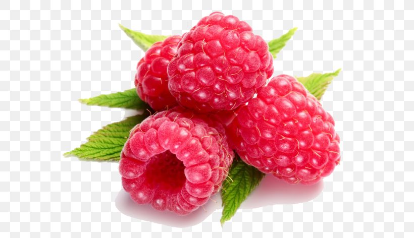 Raspberry Herbal Tea Boysenberry, PNG, 600x472px, Raspberry, Accessory Fruit, Berry, Blackberry, Blue Raspberry Flavor Download Free