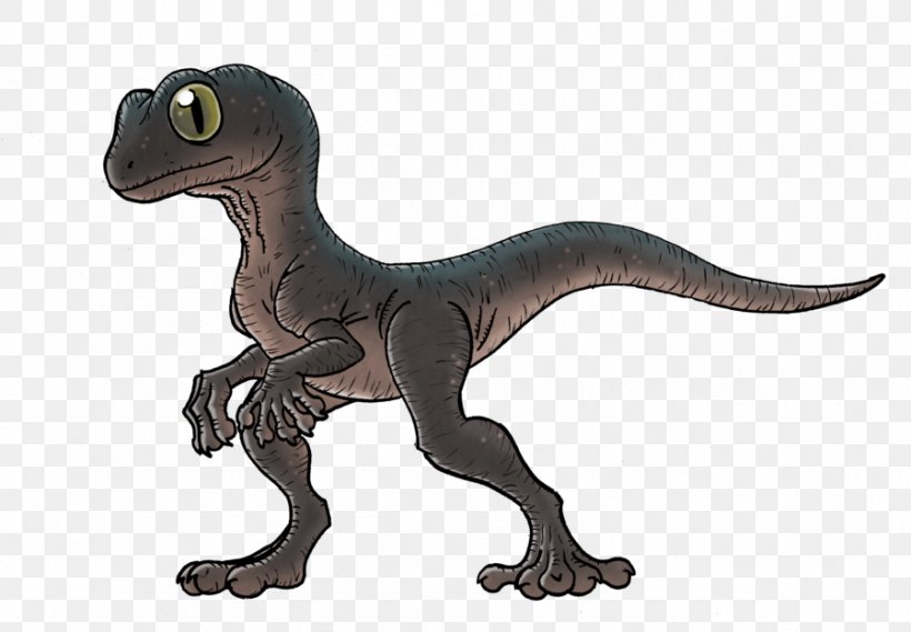 Velociraptor Tyrannosaurus Terrestrial Animal, PNG, 899x624px, Velociraptor, Animal, Animal Figure, Dinosaur, Organism Download Free