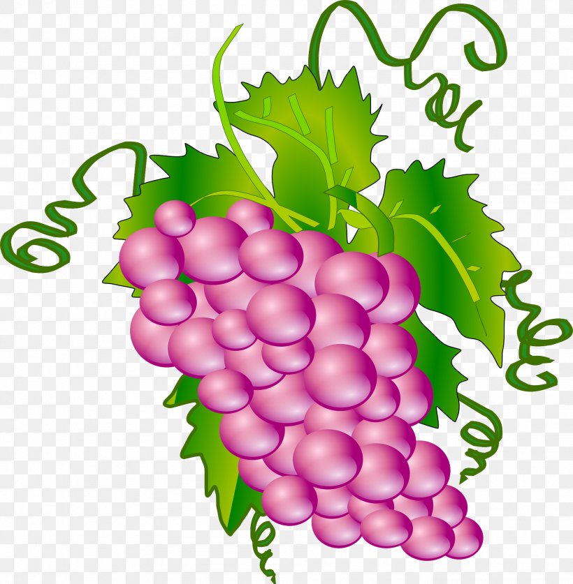 Common Grape Vine Wine Grape Leaves Clip Art, PNG, 1881x1920px, Common Grape Vine, Flowering Plant, Food, Free Content, Fruit Download Free