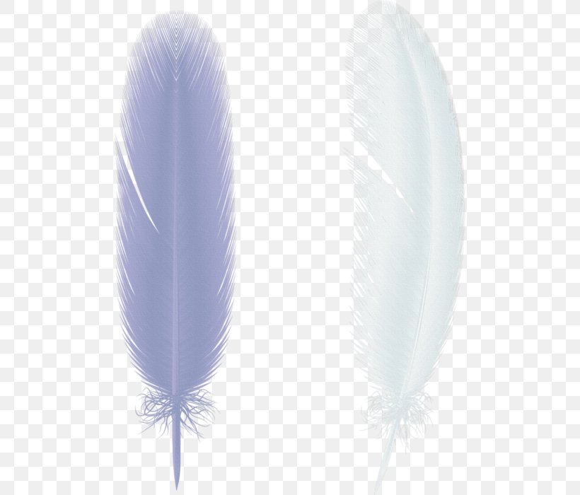 Feather Bird Download Clip Art, PNG, 496x700px, Feather, Bird, Depositfiles, Dots Per Inch, Quill Download Free