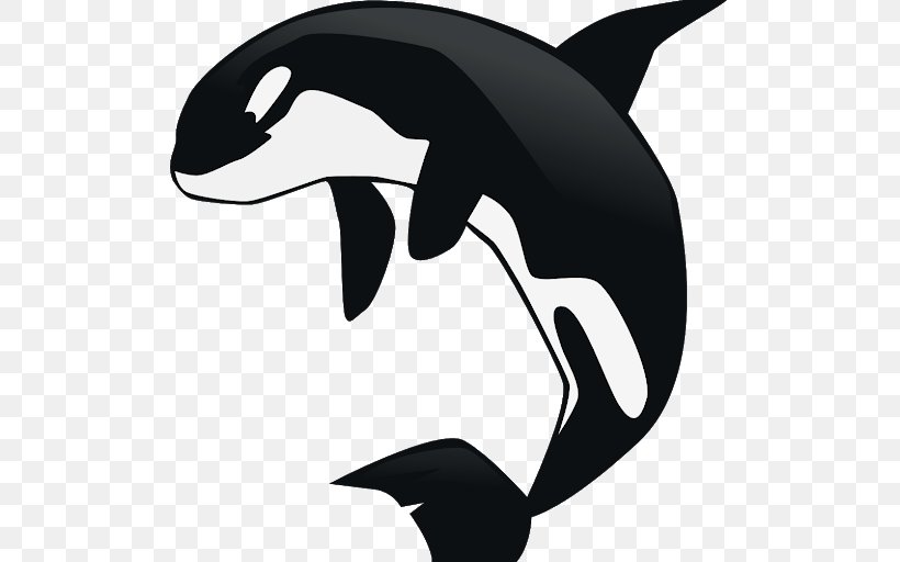 Killer Whale Baby Whale Clip Art, PNG, 509x512px, Killer Whale, Artwork, Baby Whale, Beak, Black Download Free