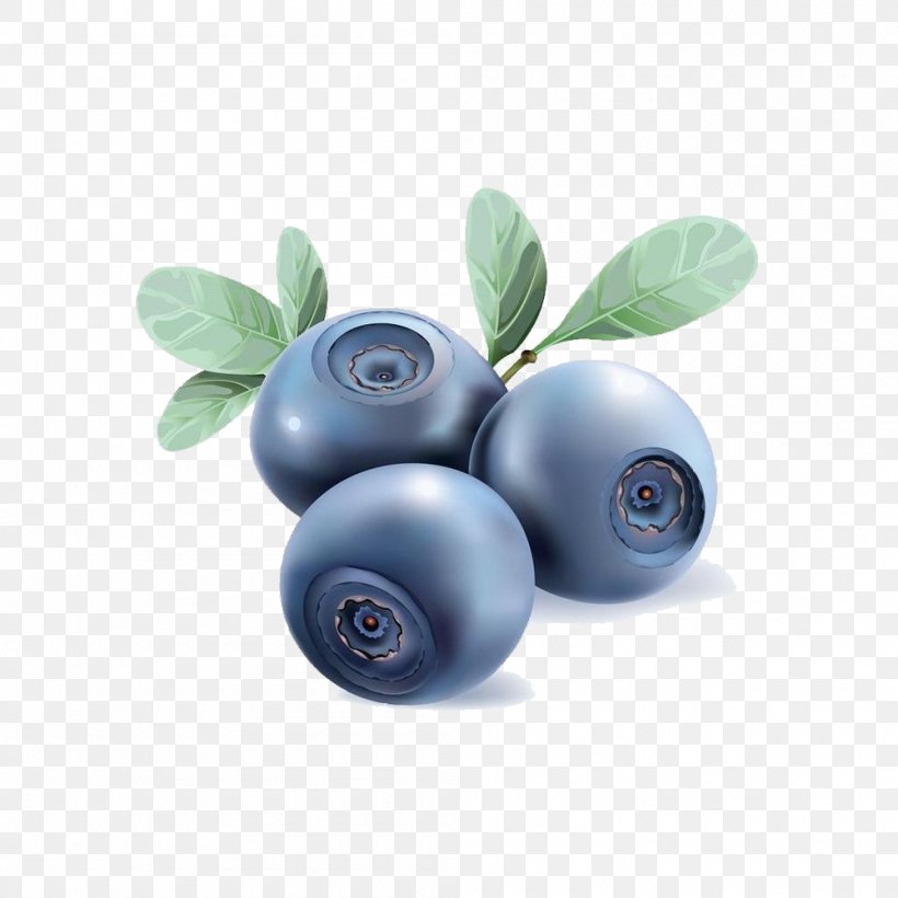 Blueberry Tea Vector Graphics Clip Art, PNG, 1000x1000px, Blueberry Tea, Berries, Berry, Bilberry, Blueberry Download Free