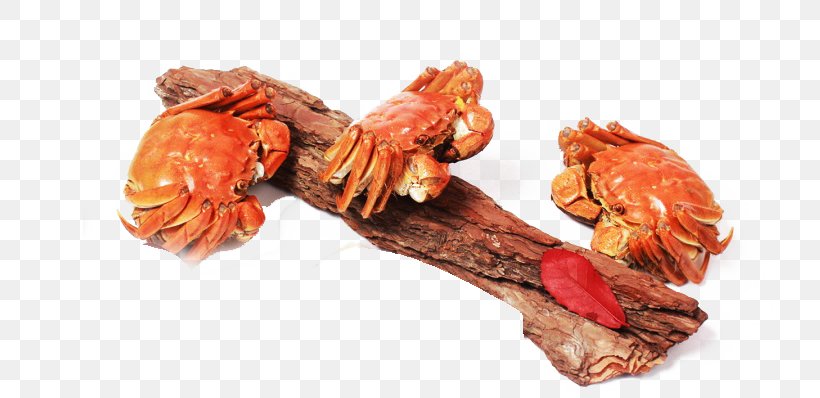 Crab Seafood Lobster, PNG, 798x398px, Crab, Animal Source Foods, Chinese Mitten Crab, Copyright, Cuisine Download Free