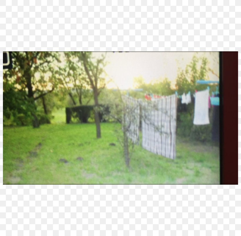 Fence Backyard Wall Property Landscaping, PNG, 800x800px, Fence, Area, Backyard, Facade, Grass Download Free