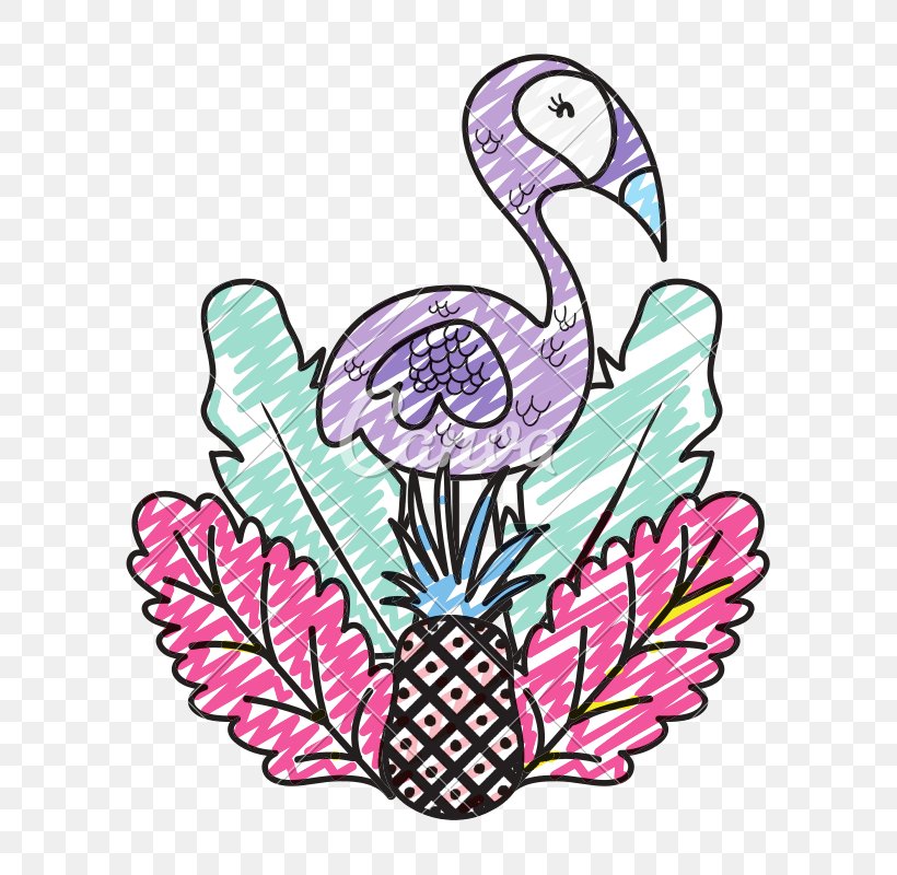 Flamingo Drawing, PNG, 800x800px, Drawing, Beak, Bird, Flamingo, Pink Download Free
