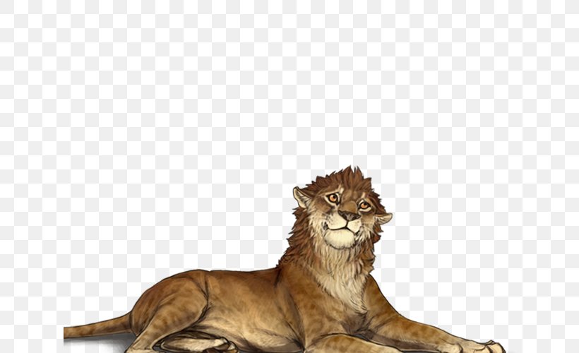 Lion Cheetah Big Cat Male, PNG, 640x500px, Lion, Adolescence, Big Cat, Big Cats, Carnivoran Download Free