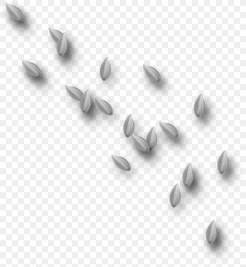 Petal Flower Leaf Psd, PNG, 1273x1381px, Petal, Black And White, Email, Flower, Leaf Download Free