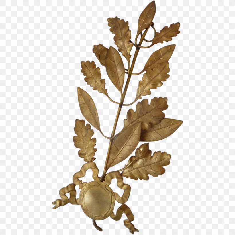 Twig Leaf, PNG, 1023x1023px, Twig, Branch, Leaf, Plant, Tree Download Free