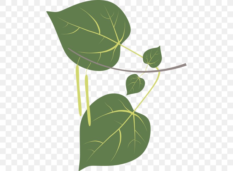 Leaf Sweetgum Plant Stem Tree Clip Art, PNG, 600x600px, Leaf, Birch, Branch, Bur Oak, Flora Download Free