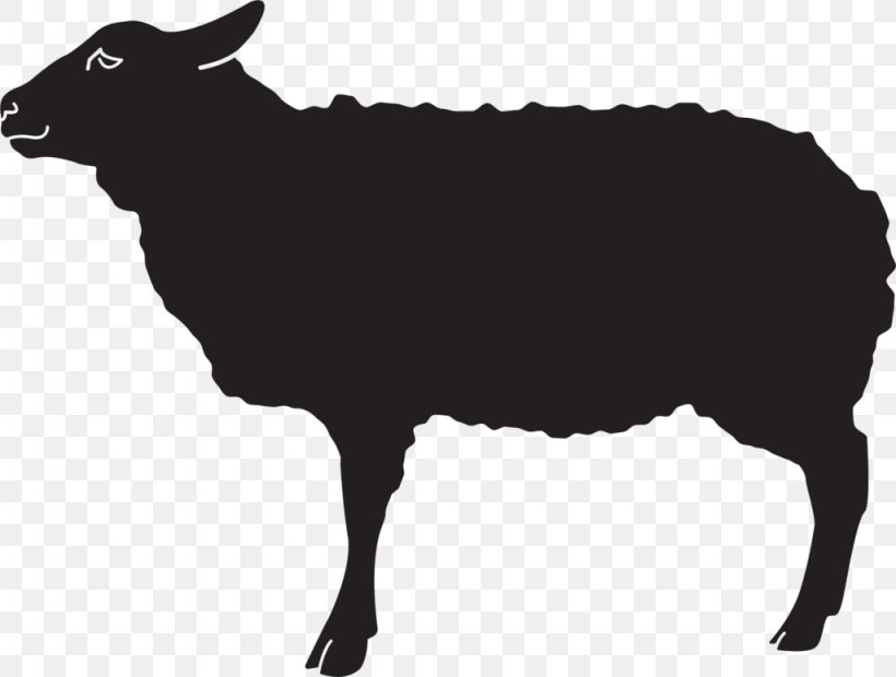 Sheep Sheep Cow-goat Family Livestock Bovine, PNG, 1024x775px, Sheep, Bovine, Bull, Cowgoat Family, Goatantelope Download Free