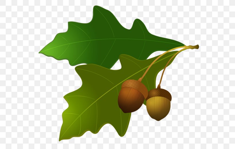 Acorn Leaf Oak Clip Art, PNG, 600x519px, Acorn, Autumn, Autumn Leaf Color, Bitmap, Blog Download Free