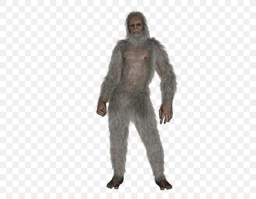 Bigfoot Yeti Paranormal Scientist, PNG, 640x640px, Bigfoot, Costume, Fact, Figurine, Fur Download Free