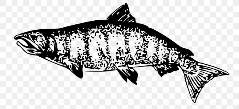 Clip Art Drawing Vector Graphics Image Salmon, PNG, 879x402px, Drawing, Bonyfish, Fin, Fish, Fish Products Download Free