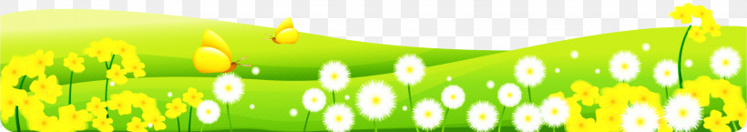 Dandelion, PNG, 3118x553px, Dandelion, Business, Business Plan, Detskiy Sad Polyanka, Document Download Free