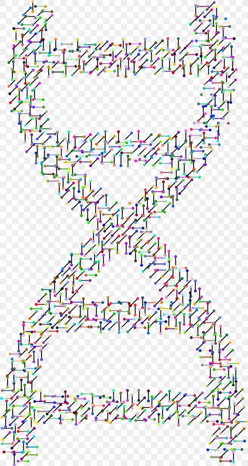 Nucleic Acid Double Helix The Double Helix: A Personal Account Of The Discovery Of The Structure Of DNA, PNG, 1224x2298px, Nucleic Acid Double Helix, Area, Biology, Dna, Helix Download Free