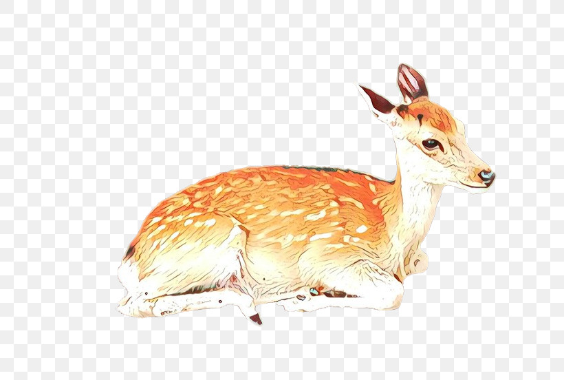 Wildlife Deer Fawn Antelope Roe Deer, PNG, 736x552px, Wildlife, Antelope, Deer, Fawn, Roe Deer Download Free