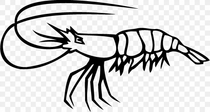 Shrimp Clip Art, PNG, 1000x537px, Shrimp, Arm, Art, Artwork, Beak Download Free