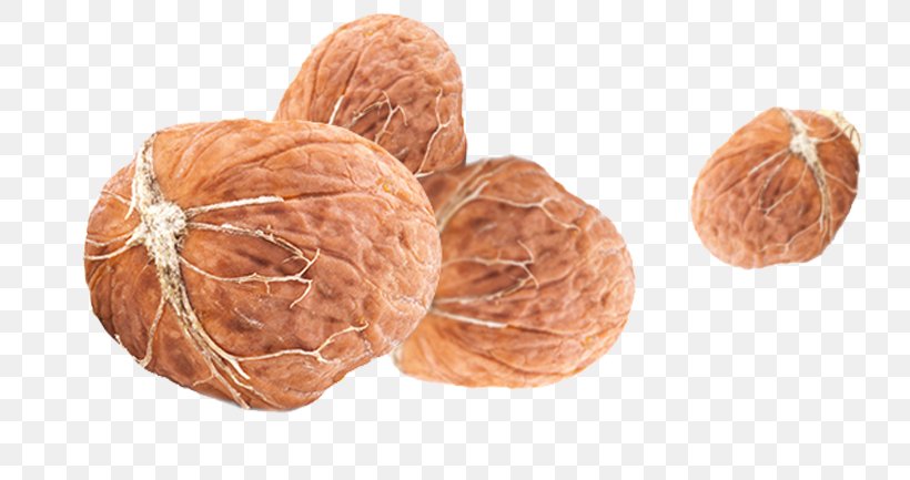 Walnut Peel Auglis Fruit, PNG, 750x433px, Walnut, Auglis, Commodity, Designer, Dots Per Inch Download Free