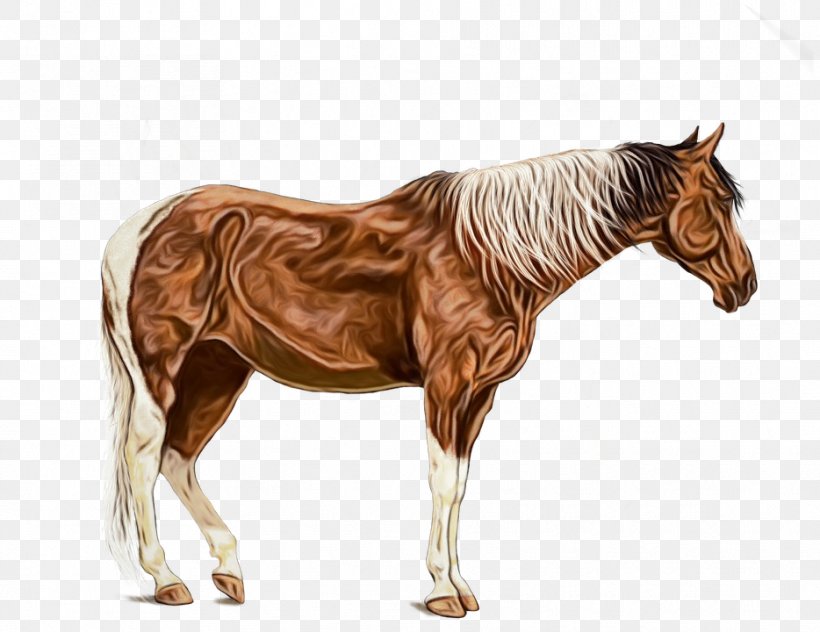 Watercolor Animal, PNG, 934x720px, Pony, American Paint Horse, Animal, Animal Figure, Artist Download Free