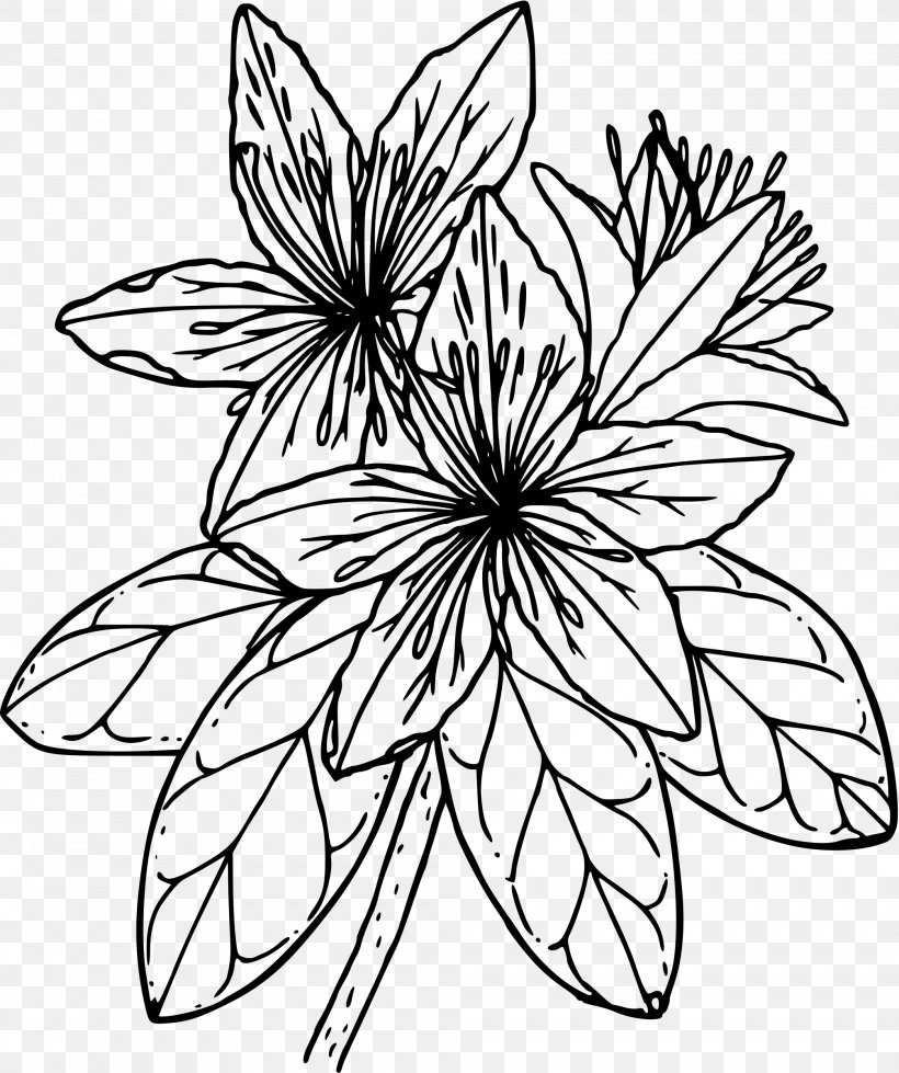 Azalea Drawing Clip Art, PNG, 2009x2400px, Azalea, Artwork, Black And White, Botanical Illustration, Branch Download Free