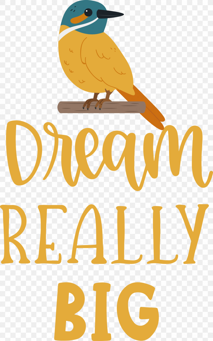 Dream Really Big Dream Dream Catcher, PNG, 1874x3000px, Dream, Beak, Biology, Birds, Dream Catcher Download Free