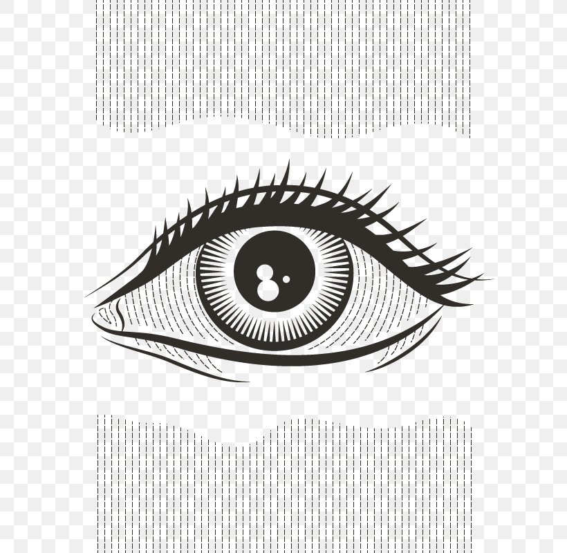 Human Eye Beitxu Studios Visual Perception Science, PNG, 800x800px, Eye, Big Picture Science, Black And White, Brand, Child Download Free