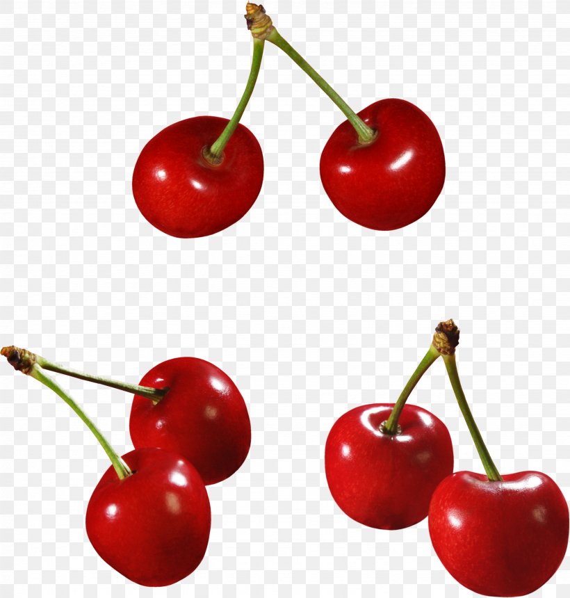 Cherry Cerasus Berry, PNG, 2668x2800px, Cherry, Accessory Fruit, Acerola, Acerola Family, Berry Download Free