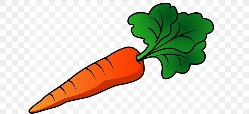 Clip Art Carrot Nose Image Free Content, PNG, 960x443px, Carrot, Artwork, Carrot Cake, Carrot Nose, Drawing Download Free