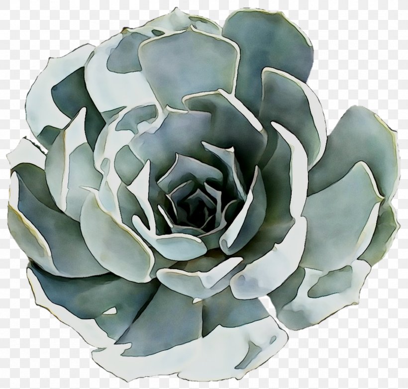 Cut Flowers, PNG, 1269x1211px, Cut Flowers, Agave, Echeveria, Flower, Flowering Plant Download Free