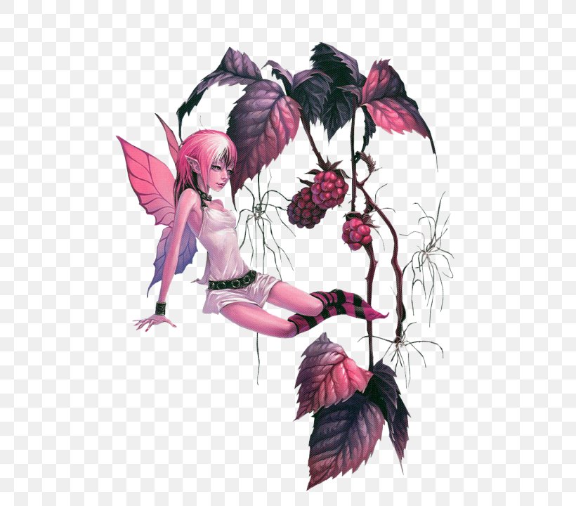 Fairy Elf Drawing Woman, PNG, 500x720px, Fairy, Art, Bird, Blog, Branch Download Free