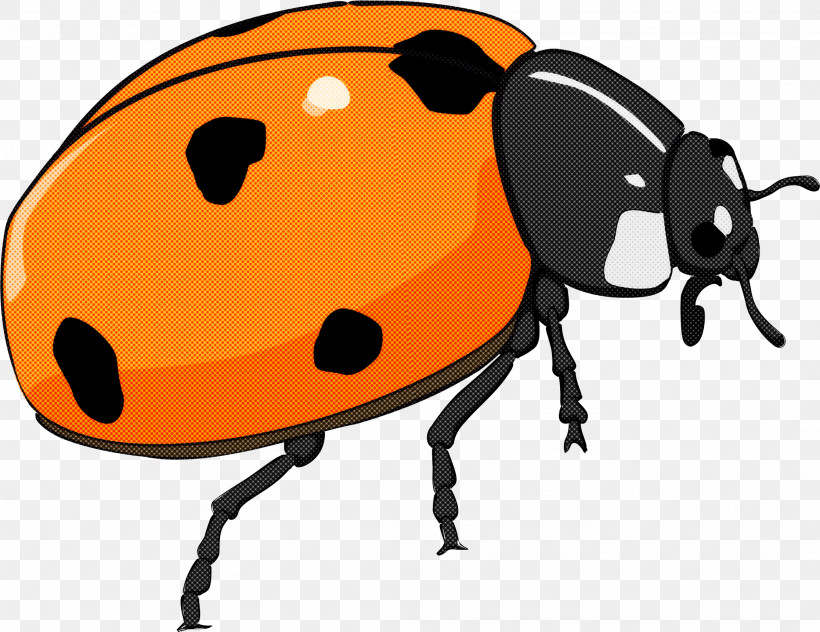 Ladybug, PNG, 2233x1723px, Insect, Beetle, Blister Beetles, Darkling Beetles, Ladybug Download Free