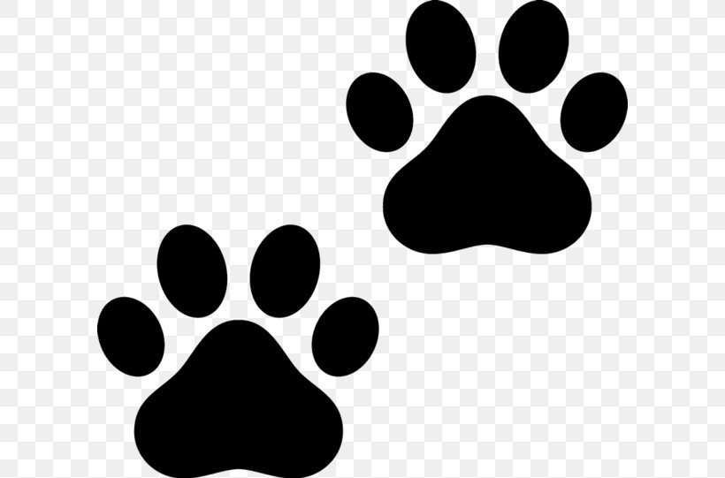 Cat Clip Art Paw Dog Image, PNG, 600x541px, Cat, Animal Track, Black, Black And White, Collage Download Free